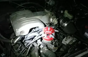 ranger eng 6.webp