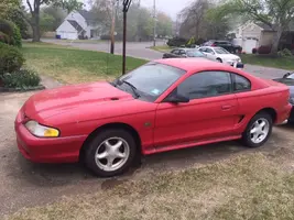 Mustang 1.webp