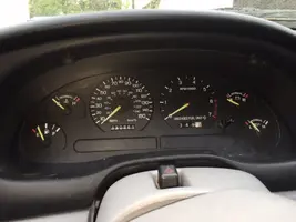 Mustang 5.webp