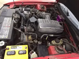 Mustang 7.webp