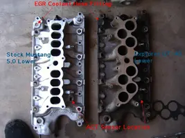 50515d1337028905-lower-stock-vs-gt40.webp