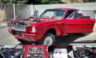 Mustang.webp