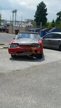 mustang.webp