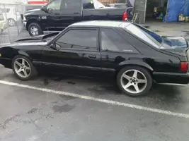 mustang 3.webp