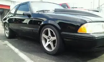 mustang 6.webp