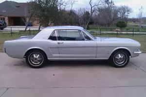stang.webp