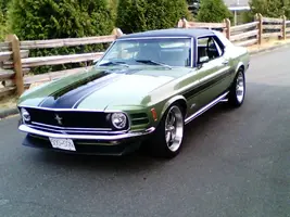 image.webp