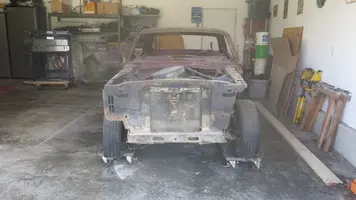Mustang 02.webp