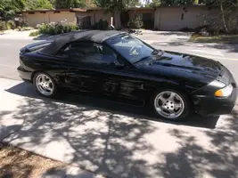 DSCF0136.webp