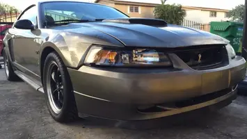 stang.webp