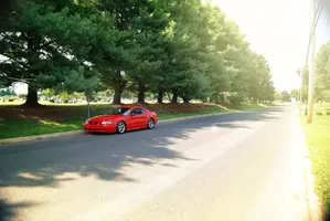 stang_2.webp