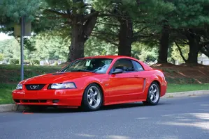 Stang_1.webp