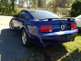 left rear.webp