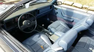 Interior1.webp