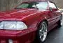 car pic 1 (2).webp