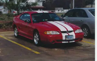 fd6.webp