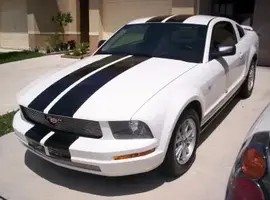 wow what a shine.webp