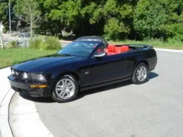 stang1.webp