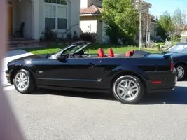stang2.webp