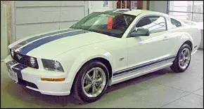 white mustang.webp