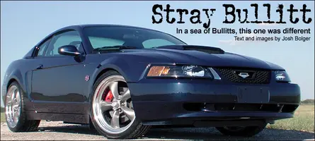 stray_lead.webp