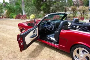 stang.webp