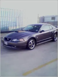 mynewmach1.webp