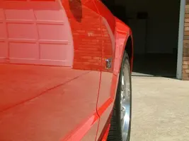 Mustang Ding Fixed.webp