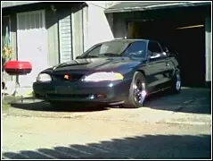 stang pic.webp