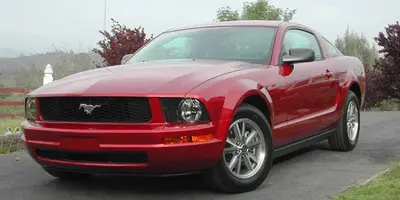 Mustang_front_small2.webp