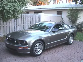 stang1.webp