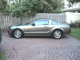 stang2.webp