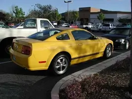 mustangstripe1.webp
