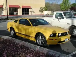 mustangstripe2.webp