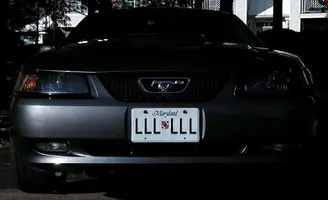 Stang1.webp