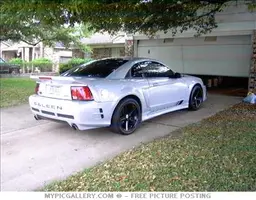 saleen.webp