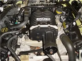 My Roush Classic 019.webp