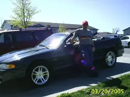 mustang and me 3.webp