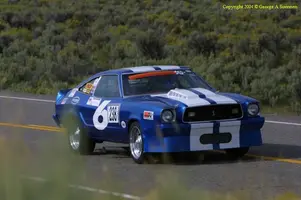 238_IMG_5625.webp