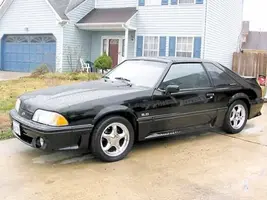 Black Mustang.webp