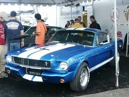 gt350sr.webp