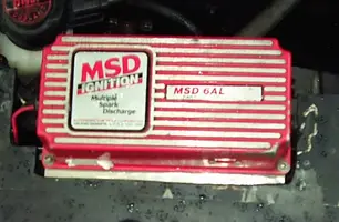 msd1.webp