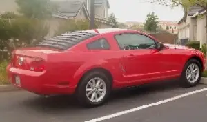 JennsStang1.webp