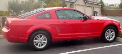 JennsStang2.webp