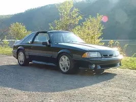 mustang front dragon resize.webp