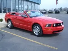 MyNewBaby.webp