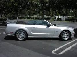 smallmustang.webp