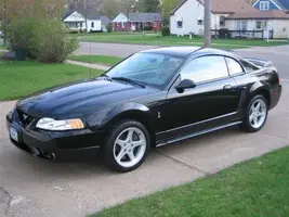 cobra (Small).webp