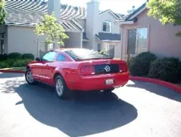 With Blackout.webp