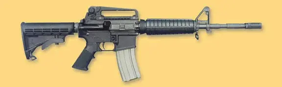 bcwa3f16m4.webp